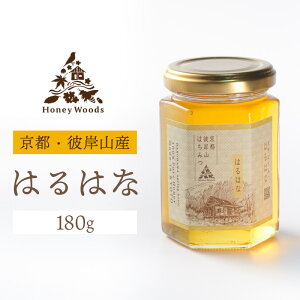 ݂͂ ͂͂ 180g@n`~c I {I Y {Y v[g Ԃ  yY yY n  lC  yWSz