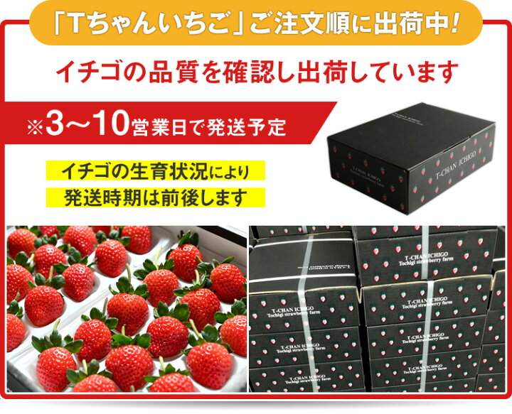 楽天市場】いちご 苺 とちあいか ホール 詰め 350g x 1箱 (贈答用 