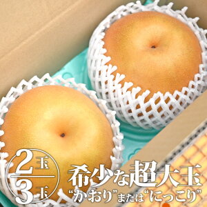 �� �G�i (�����)�@�@2�� 3�� 2kg 3kg 2�L�� 3�L�� ���� �Ȃ� �i�V �ɂ����� �ɂ����藜 ������ �ʕ� �������� �t���[�c �{ �H�̖��o ������ʎ��� �Ȗ؎Y �Ȗ،��Y ���Y �\��yWS�z�yBK�z
