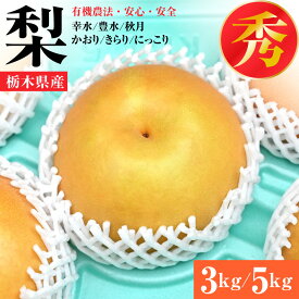 梨 秀品 (3kg / 5kg) 送料無料 | なし ナシ 幸水 幸水梨 豊水 豊水梨 ほうすい 秋月 あきづき かおり きらり にっこり にっこり梨 3キロ 5キロ 果物 フルーツ 旬 栃木県産 国産 彼岸 お供え 贈り物 ギフト【WS】【BK】