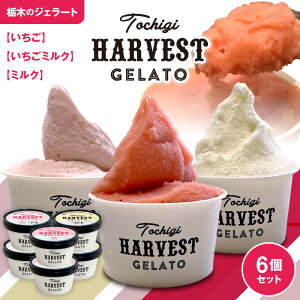 yr[390~OFFN[|v[gzWF[guHarvest Gelatov 6@WF[g C^AWF[g ACXN[ ACXZbg  c 2025 ăMtg hV