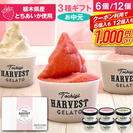 お中元 夏ギフト アイス ギフト ジェラート 詰め合わせ 「Harvest Gelato」 (6個・12個)　誕生日 お中元 御中元 夏ギフト 2026 高級 おしゃれ 送料無料 アイスクリーム いちご アイスセット お祝い 内祝い お取り寄せ 即日発送