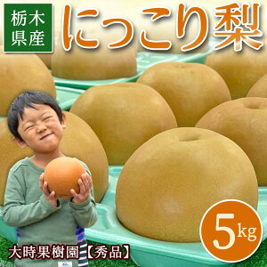 �y�\�� ������t�z�ɂ����� �� 5kg�� (�G�i) �������� �Ȃ� �� �\�� �H�̖��o �ʕ� �������� �t���[�c �{ ���蕨 �M�t�g �v���[���g �t�M�t�g ���j�� ���� �o�Y ���j�� ���Ԃ� ���� �Y�� �����