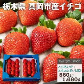 いちご 青箱(平パック入2P) | 選べる(とちあいか or とちおとめ or ミックス) 送料無料 いちご 苺 イチゴ いちごギフト 生いちご 食べ比べ 旬の果物 フルーツ プレゼント ギフト お祝い 内祝い お取り寄せ 栃木県産 栃木産【WS】