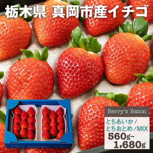  (pbN2P) | Iׂ(Ƃ or ƂƂ or ~bNX)    C`S  Hה {̉ʕ t[c v[g Mtg j j  