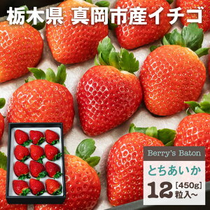  Ƃ  |    C`S   v[g Mtg j j  Ȗ،Y Ȗ؎YyWSz