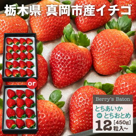 いちご 黒箱　品種選べる (とちあいか or とちおとめ)　 | 送料無料 いちご 苺 イチゴ 生いちご いちごギフト 高級 プレゼント ギフト お祝い 内祝い お取り寄せ 栃木県産 栃木産【WS】
