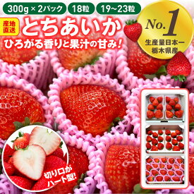 いちご 苺 とちあいか　／300g×2パック 18粒 19粒 栃木県産 いちごギフト いちご 苺 イチゴ とちあいか 送料無料 農家直送 予約 高級いちご 生いちご 季節の果物 お祝い 国産 会社 職場 大量 法人 お返し プレゼント 御見舞 お取り寄せ【BK】【WS】