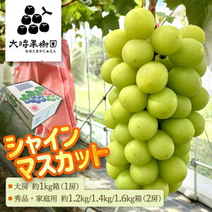 VC}XJbg@ 1kg 1.2kg 1.4kg 1.6kg Ԃǂ  uhE 햳 [ 1[ i p Gi 2[ H̖o ʕ  t[c { 蕨 Mtg v[g _ƒ Y