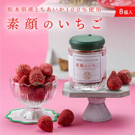 素顔のいちご　 |　 いちご お菓子 苺 スイーツ イチゴ 配る おしゃれ 国産 イベント 会社 職場 大量 法人 プレゼント プチギフト お祝い 内祝い ギフト お取り寄せ