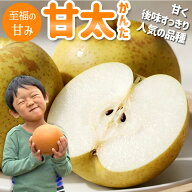 【予約 早期受付】梨 甘太 (3kg箱 / 5kg箱) 送料無料 かんた なし 梨 予約 秀品 優品 秋の味覚 果物 くだ…