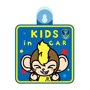 ȖSC J[TCqKIDS in CARr