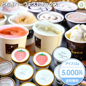 【送料無料】【クーポン利用で30%OFF】ハーヴェストボックス(アイス)