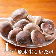 【送料無料】原木生しいたけ 1kg　｜ 椎茸 シイタケ 生椎茸 野菜 きのこ キノコ 茸 日本産 国産 グルメ …