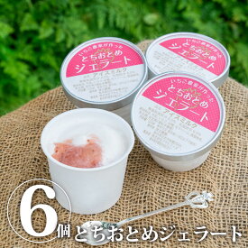 【送料無料】とちおとめジェラート　6個｜アイス アイスクリーム 氷菓 いちご イチゴ 苺 セット 詰め合わせ【WS】