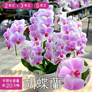 yzӒ b B[iX   2{ 3{ 5{     R`E Yn   A J@j JXj JƏj j LO ACj ސE