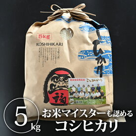 【送料無料】精米（栃木湯津上コシヒカリ）5kg｜令和3年産 白米 米 お米 5kg 栃木産 コシヒカリ こしひかり 国産 栃木県産【WS】