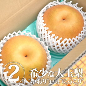 【送料無料】梨 秀品 2玉(大玉) 〈合計：約1.8kg (1玉900g以上)〉　　なし ナシ にっこり にっこり梨 かおり 大きい 梨 品種 和梨 高級梨 果物 くだもの フルーツ 旬 秋の味覚 小野口果樹園 栃木産 栃木県産 国産【WS】【BK】
