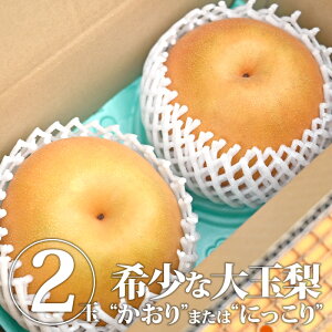 yz Gi 2()@@Ȃ iV ɂ ɂ藜  傫  i a  ʕ  t[c { H̖o ʎ Ȗ؎Y Ȗ،Y YyWSzyBKz