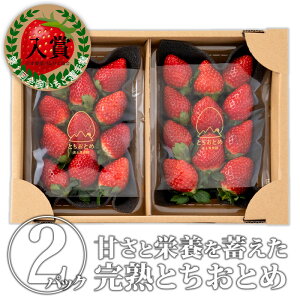 yzƂƂ߁ipEpbNjiy_jb C`S  t[c {̉ʕ Ȗ،Y Ȗ؎Y YyWSzyicpz