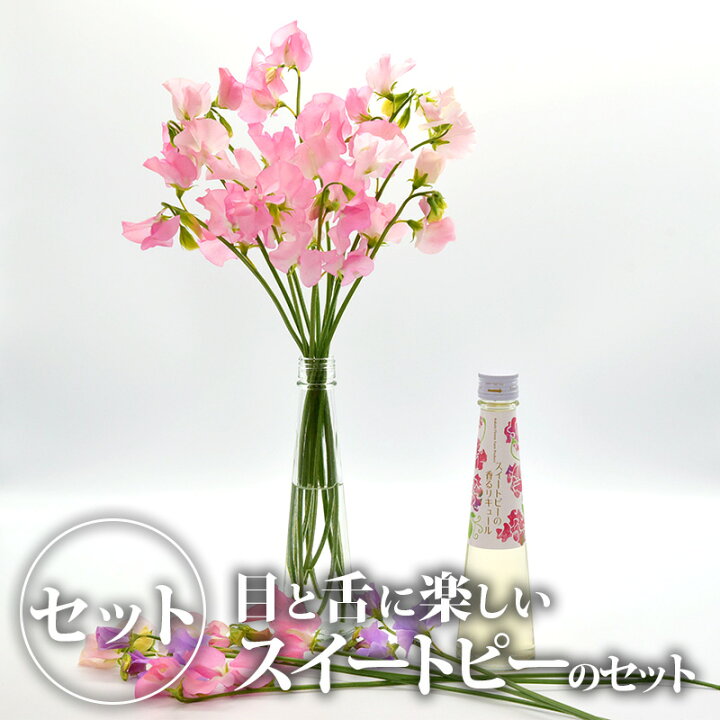 楽天市場 送料無料 スイートピーの香るリキュールと生花のセット B スイ トピー 花 はな お酒 酒 洋酒 アルコール リキュール 国産 栃木産 栃木県産 Bk 栃木のタウン誌厳選 もんみや通販