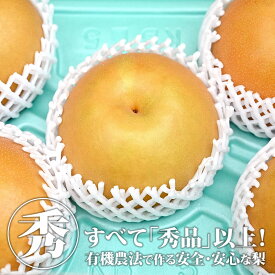 梨 秀品 送料無料 | なし ナシ 幸水 幸水梨 豊水 豊水梨 ほうすい 秋月 あきづき かおり にっこり にっこり梨 果物 フルーツ 旬 栃木県産 国産 彼岸 お供え 贈り物 ギフト【WS】【BK】