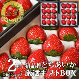 【送料無料】とちあいか（ギフト用）（美土里農園）｜いちご イチゴ 苺 生いちご フルーツ 旬の果物 高級 贈答用 贈り物 プレゼント 栃木県産 栃木産 国産【WS】【icp】