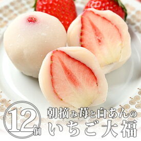 いちご大福 12個(6個×2箱)｜送料無料 苺大福 白あん 白餡 冬 春 お菓子 和菓子 だいふく 大福餅 スイーツ 和スイーツ デザート お茶菓子 お茶請け【WS】