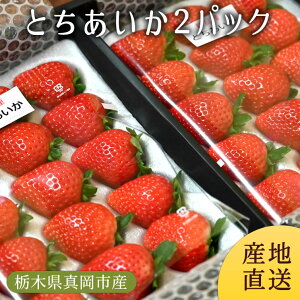 Ƃ 2pbN (Mtgp) |   p   C`S  v[g Mtg j j  Ȗ،Y Ȗ؎YyWSzyicpz