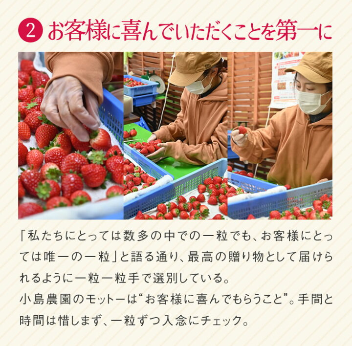 楽天市場】とちあいか4パック (自宅用) | 送料無料 いちご 苺 イチゴ 