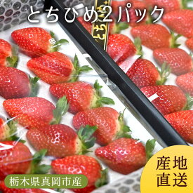 とちひめ2パック (ギフト用) | 送料無料 いちご 苺 イチゴ いちご 贈答用 生いちご プレゼント ギフト お祝い 内祝い お取り寄せ 栃木県産 栃木産【WS】【icp】