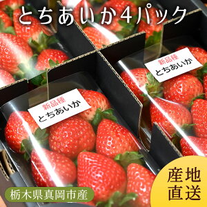 Ƃ4pbN (p) |    C`S  v[g Mtg j j  Ȗ،Y Ȗ؎YyWSzyicpz