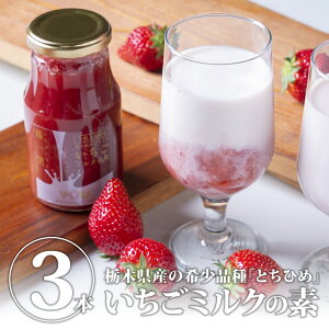 yN[|zyz~N̑f 䕈 3{Zbg | C`S   C`S~N ~N̂ I t[c\[X 񂹁yWSz