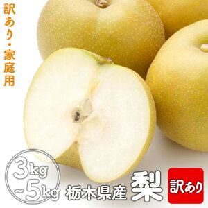 y󂠂z q3kg ܂ 5kgryz Bi KiO L H Â K L H Ȃ iV 3L 5L ʕ t[c { Ȗ،Y Y hV  蕨 Mtg 