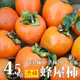 蜂屋柿（中〜大玉）4.5kg | 送料無料 干し柿用渋柿 干し柿用 渋柿 柿 干し柿用柿 ほしがき 吊るし柿 吊し柿 つるし柿 吊るし柿用渋柿 干柿 用 渋柿 干し柿用の柿 干す柿 果物 フルーツ 旬 栃木県産 国産 贈り物 ギフト【WS】