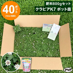 NsAK7@|bgc40{엿800gZbg@ c Ԗ |bgcyWSz