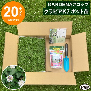 GARDENAXRbv { NsAK7 |bgc 20Zbg@ c Ԗ |bgcyWSz