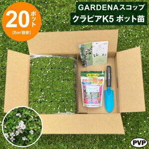 GARDENAXRbv { NsAK5 |bgc 20Zbg@ c Ԗ |bgcyWSz