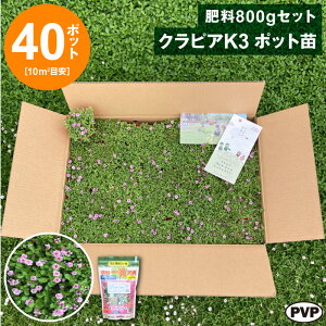 NsAK3@|bgc40{엿800gZbg@ c Ԗ |bgcyWSz