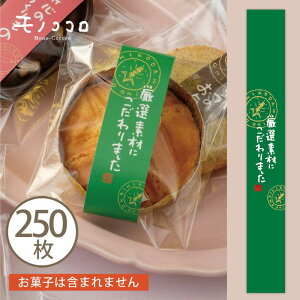 菑 ~j ~j| If VFt ^S i10F[OK^250jODSَq  v`Mtg ~jMtg bsO 蕨 J[oG[V  菑 