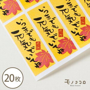 y[OKz܂łCłĂ V[ gt(20/100)hV̓  hV bZ[W H v[g V[ Zbg ݂ 蕨