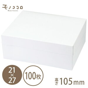 XChI[v{bNX105zCgi21×27jTCh傫Ђ炭P[L{bNXij100