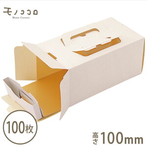 X}[gL[EAC{[iGg[jEg[EۗP[X̂[P[L{bNXi100j