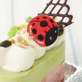 楽天市場 てんとう虫 ケーキの通販