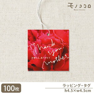 y[OKzThank you mother J[l[V̏_炩`̓^O(10/100)v[g J[l[V Mtg XC[c A AWg Gv ̓ vU[uh