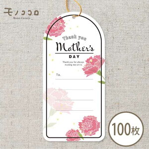 y[OKz̓ ^O (10/100)ꂳփbZ[W邨ȋSRt^ObZ[WJ[h ^O J[l[V  bsO |Cg { G v[