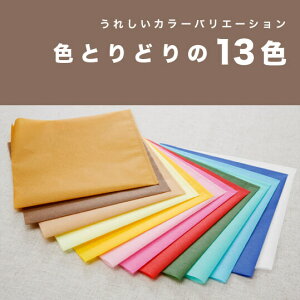 m[OKnIׂ13FIJ܂݂̂ȂJy50^ϐ ϖ