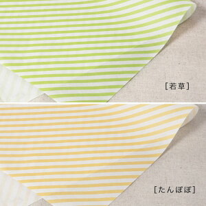 yA2E100zށAA܂A؂AR[WBĝXgCviᑐEۂہj