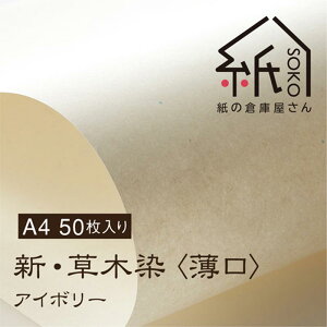 ylR|XOKz̑qɉ@VEؐqrAC{[Eǁ@A4 20/50