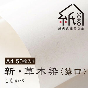 ylR|XOKz̑qɉ@VEؐqrAC{[Eǁ@A4 20/50